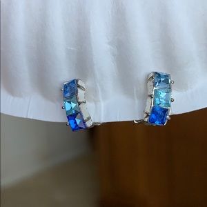 Earrings CLIP